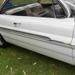 DSC_0132_00079 (June 04, 2023)